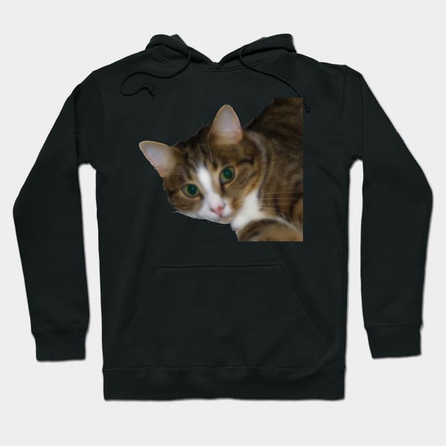 Soft Cat Hoodie by Lynn